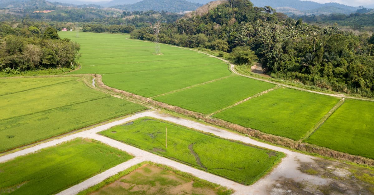 Buying Land in Idaho? Here's What a Survey Will (and Won't) Tell You